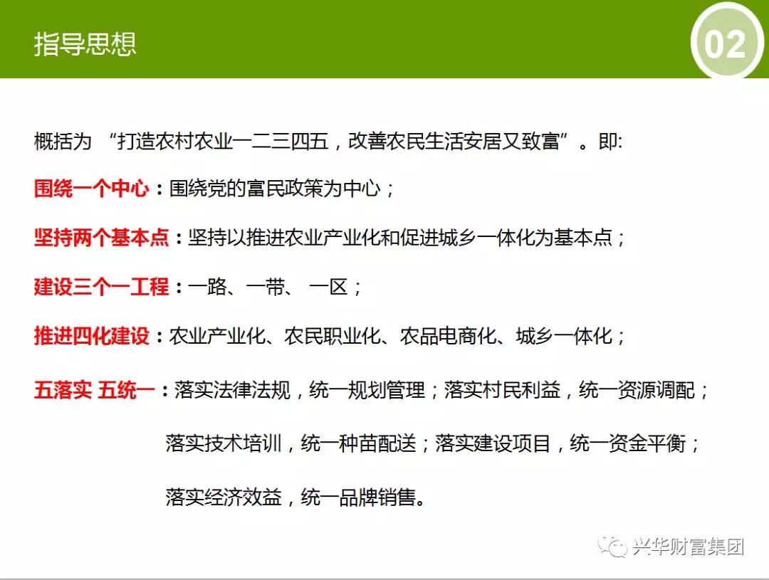 赏金女王