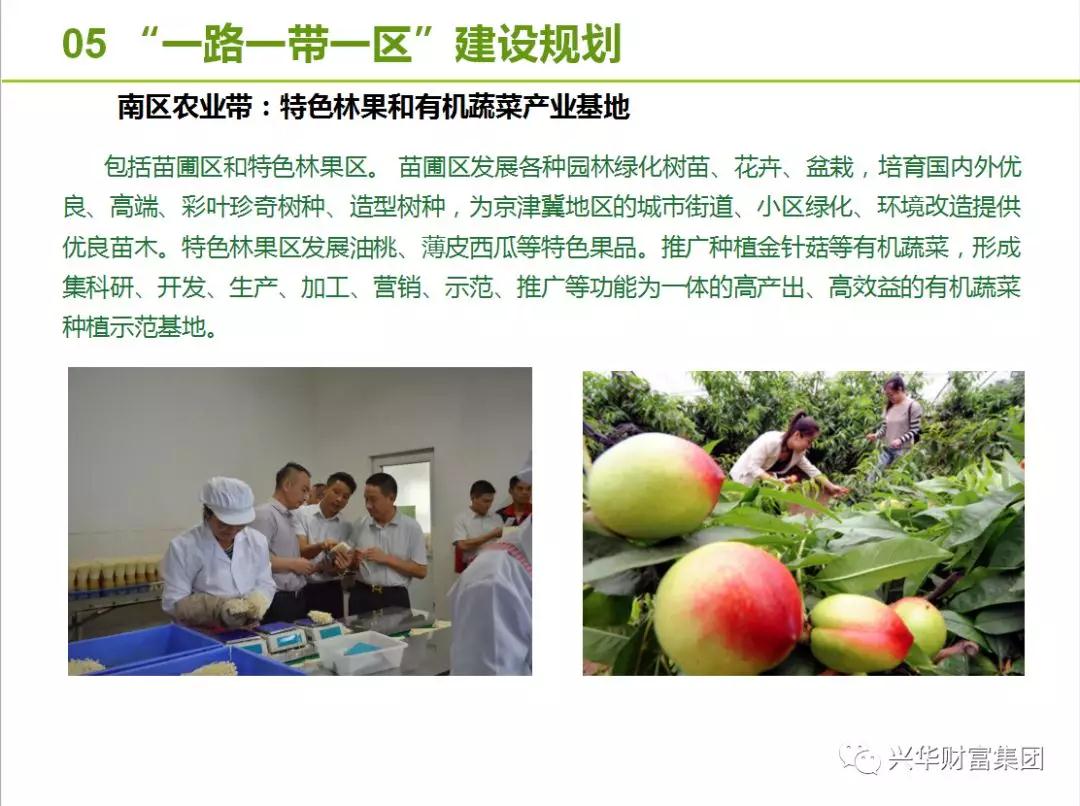赏金女王
